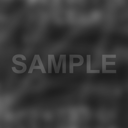 OEM Solutions Brochure