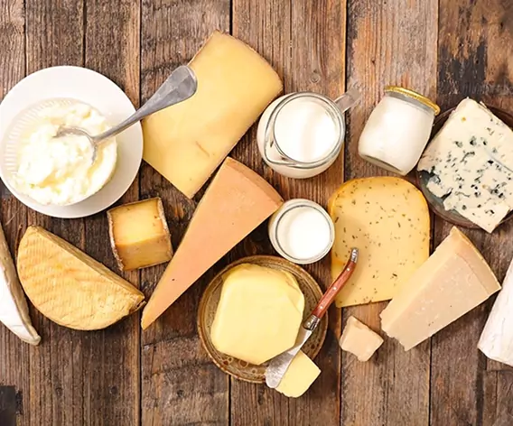 Dairy