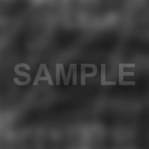 OEM Solutions Brochure